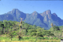 ESTRADA DA GRACIOOSA