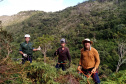 VOLUNTARIADO