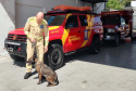 BOMBEIROS