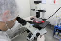 China passa a aceitar laudos do Tecpar para sorologia antirrábica veterinária