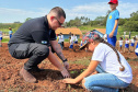 Instituto Água e Terra (IAT) já distribuiu mais de 8,5 milhões de mudas de espécies nativas desde 2019 , 70 mil delas apenas nesta semana, em comemoração ao Dia da Árvore.