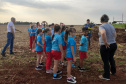 Instituto Água e Terra (IAT) já distribuiu mais de 8,5 milhões de mudas de espécies nativas desde 2019 , 70 mil delas apenas nesta semana, em comemoração ao Dia da Árvore.