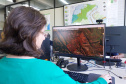 Nova plataforma dá ao IAT acesso a imagens diárias para controle de crimes ambientais