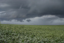 Plano de Ação Climática