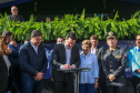 PONTA GROSSA