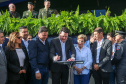 PONTA GROSSA