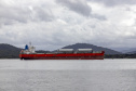 Porto de Paranaguá recebe primeiro navio "verde" do mundo nesta sexta-feira