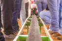 Com 1.750 alunos formados, curso de Agronomia da UEPG completa 40 anos