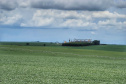 AGRO