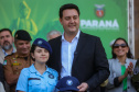 Semana da Pátria