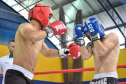 PARANÁ COMBATE