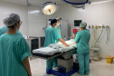 Dia do Médico: Sesa ressalta atendimento humanizado e comprometido com a população 