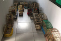  Fiscais do escritório regional do IAT de Curitiba resgataram 20 aves silvestres vítimas de maus-tratos em Rio Branco do Sul.