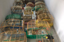  Fiscais do escritório regional do IAT de Curitiba resgataram 20 aves silvestres vítimas de maus-tratos em Rio Branco do Sul.