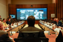 Reunião online governador