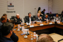 Reunião online governador