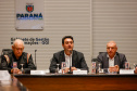 Reunião online governador
