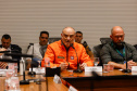 Reunião online governador