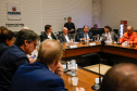 Reunião online governador