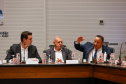 Reunião online governador