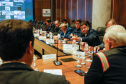 Reunião online governador