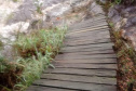 Parte da ponte que leva à cachoeira da Ponte de Pedra e ao mirante do Parque Guartelá caiu.