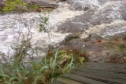 Parte da ponte que leva à cachoeira da Ponte de Pedra e ao mirante do Parque Guartelá caiu.