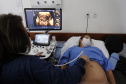  Paraná é o estado que mais realiza consultas de pré-natal por gestante no Brasil