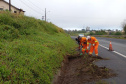 Conservação da faixa de domínio das rodovias estaduais prevê investimento de R$ 768,3 mi 
