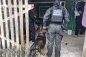 PCPR e PMPR prendem 20 pessoas ligadas ao tráfico de drogas no Centro de Curitiba 
