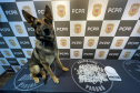 PCPR e PMPR prendem 20 pessoas ligadas ao tráfico de drogas no Centro de Curitiba 