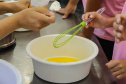 ALIMENTAÇÃO