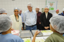ALIMENTAÇÃO