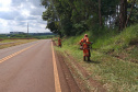 Conservação da faixa de domínio das rodovias estaduais prevê investimento de R$ 768,3 mi 