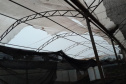 Tornado causou estragos no viveiro florestal de Cascavel, com o destelhamento de estruturas e o bloqueio do principal acesso ao local. 