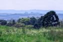 Caminhadas na Natureza IDR