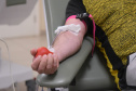 SESA DIA DO DOADOR DE SANGUE