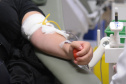SESA DIA DO DOADOR DE SANGUE