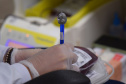 SESA DIA DO DOADOR DE SANGUE