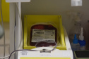 SESA DIA DO DOADOR DE SANGUE
