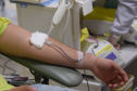 SESA DIA DO DOADOR DE SANGUE