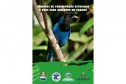 IAT GUIAS