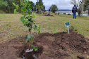 IAT é finalista de dois prêmios nacionais com o projeto Parques Paraná e o App Paraná Mais Verde