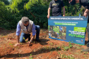 IAT é finalista de dois prêmios nacionais com o projeto Parques Paraná e o App Paraná Mais Verde
