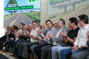 asfalto novo