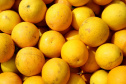 AGRICULTURA