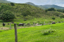 O Instituto Água e Terra (IAT) finalizou nesta sexta-feira (24) operação de fiscalização na região do Parque Estadual das Lauráceas, localizado em Adrianópolis e Tunas do Paraná.