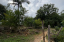 O Instituto Água e Terra (IAT) finalizou nesta sexta-feira (24) operação de fiscalização na região do Parque Estadual das Lauráceas, localizado em Adrianópolis e Tunas do Paraná.