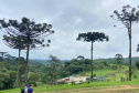 IDR TURISMO MIRINGUAVA