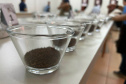Evento em Mandaguari anuncia melhores cafés do Paraná